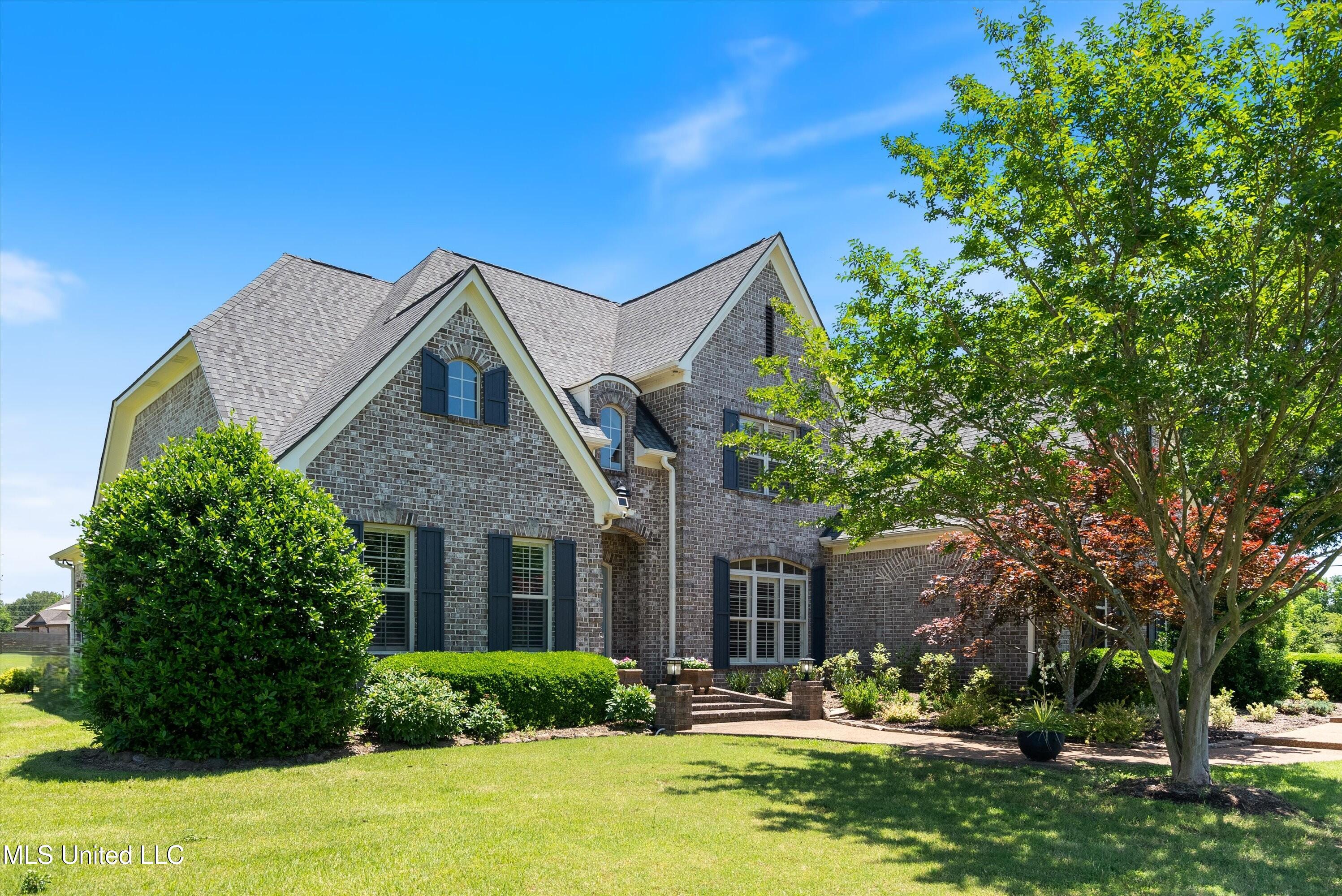9030 Sandy Drive, Olive Branch, Mississippi image 8