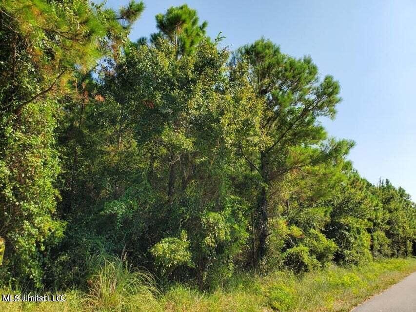 E. Belle Fontaine Road, Ocean Springs, Mississippi image 3