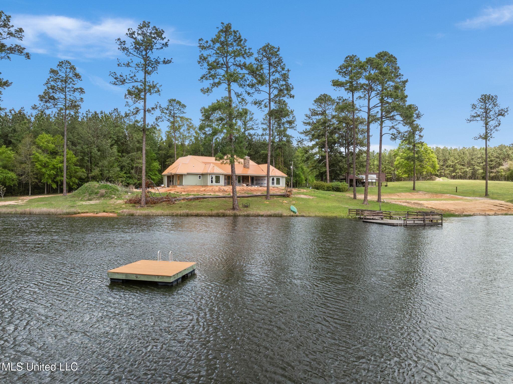 176 Burge And Reyer Road, Poplarville, Mississippi image 39
