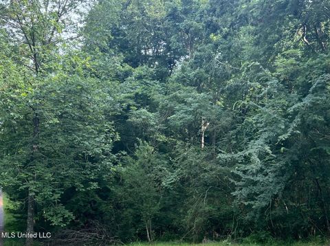 Vacant Land For Sale - Ms-315<br/> Panola County, Sardis, MS 38666