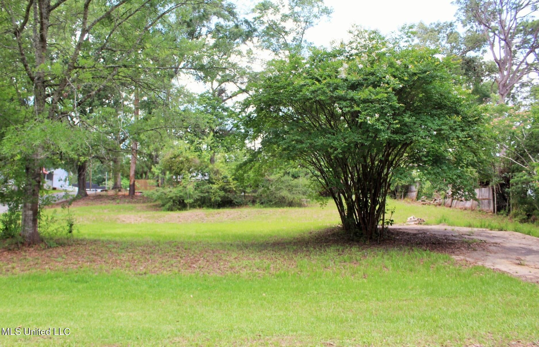 0.41ac Dill Street, Lucedale, Mississippi image 1