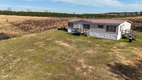 Homes For Sale - 239 Hwy 44<br/> Jayess, MS 39641