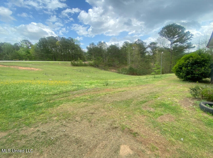 332 (333) Hudson Rd, Carthage, Mississippi image 9