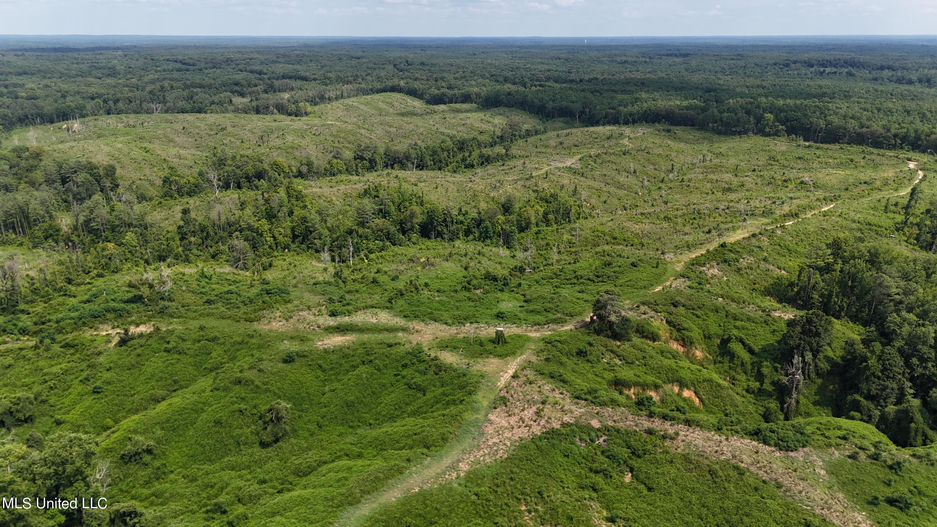 Co Rd 75, Greenwood, Mississippi image 19