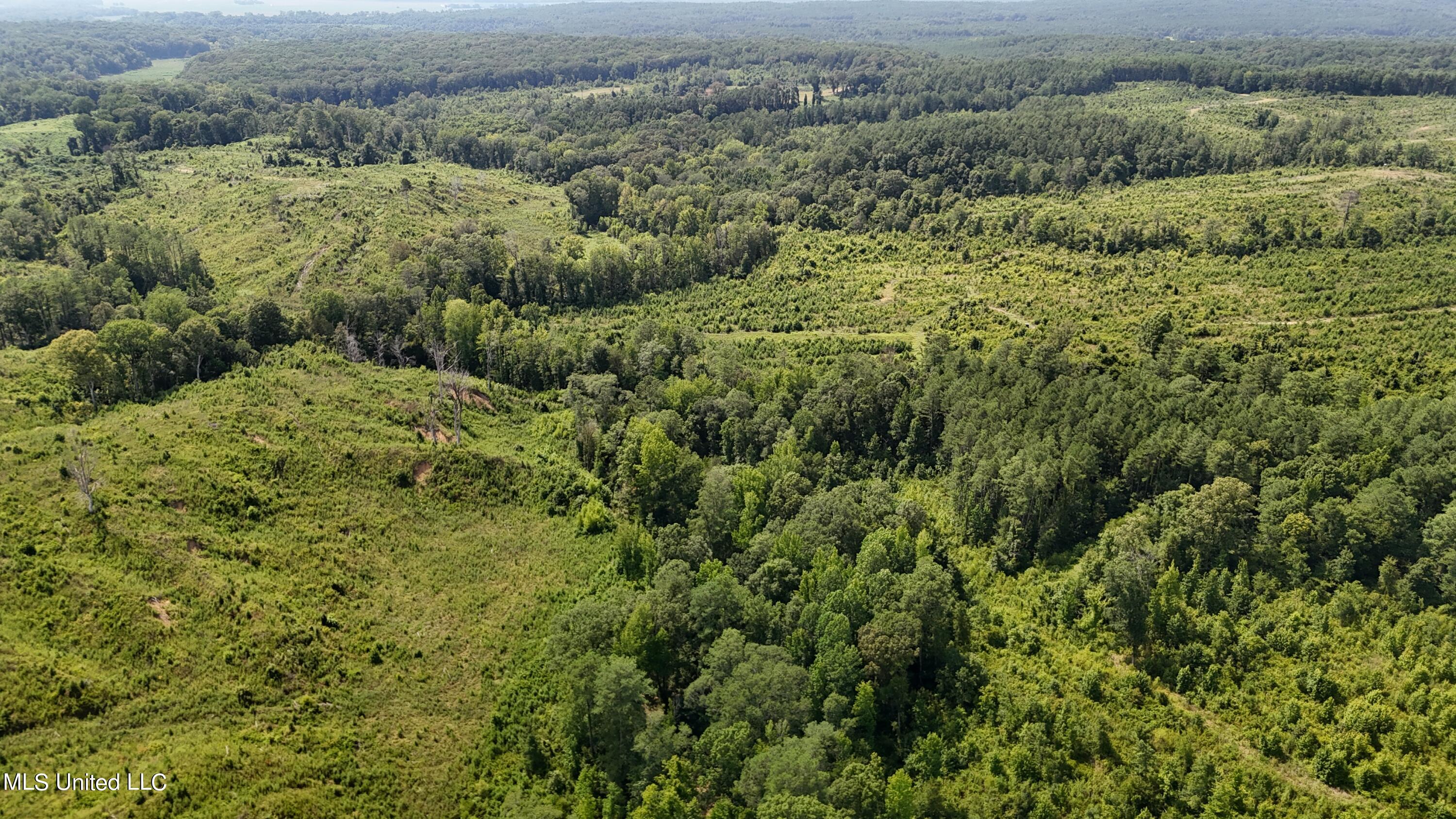 Co Rd 75, Greenwood, Mississippi image 12