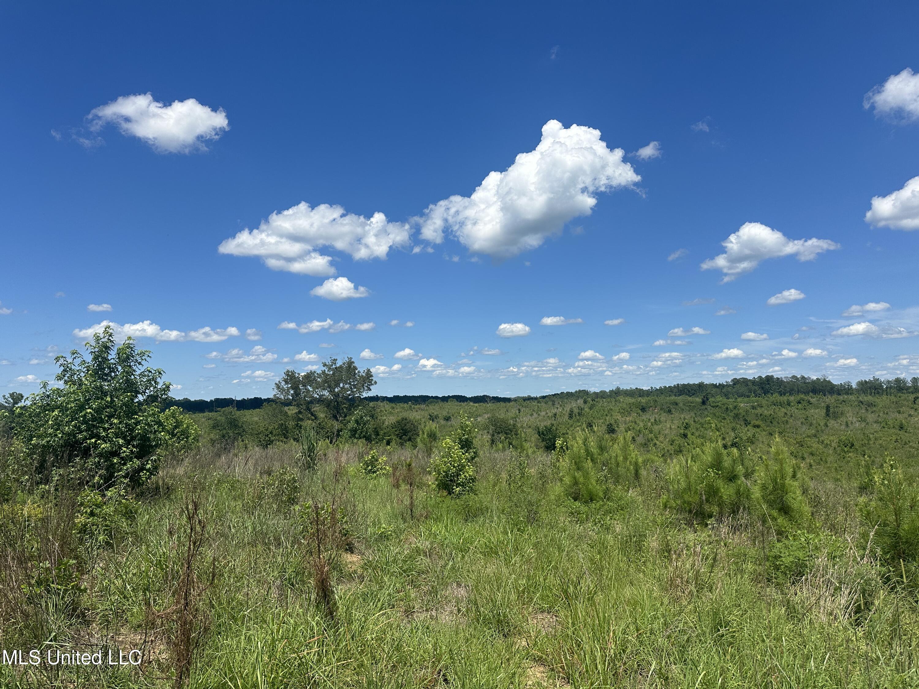 Co Rd 75, Greenwood, Mississippi image 37