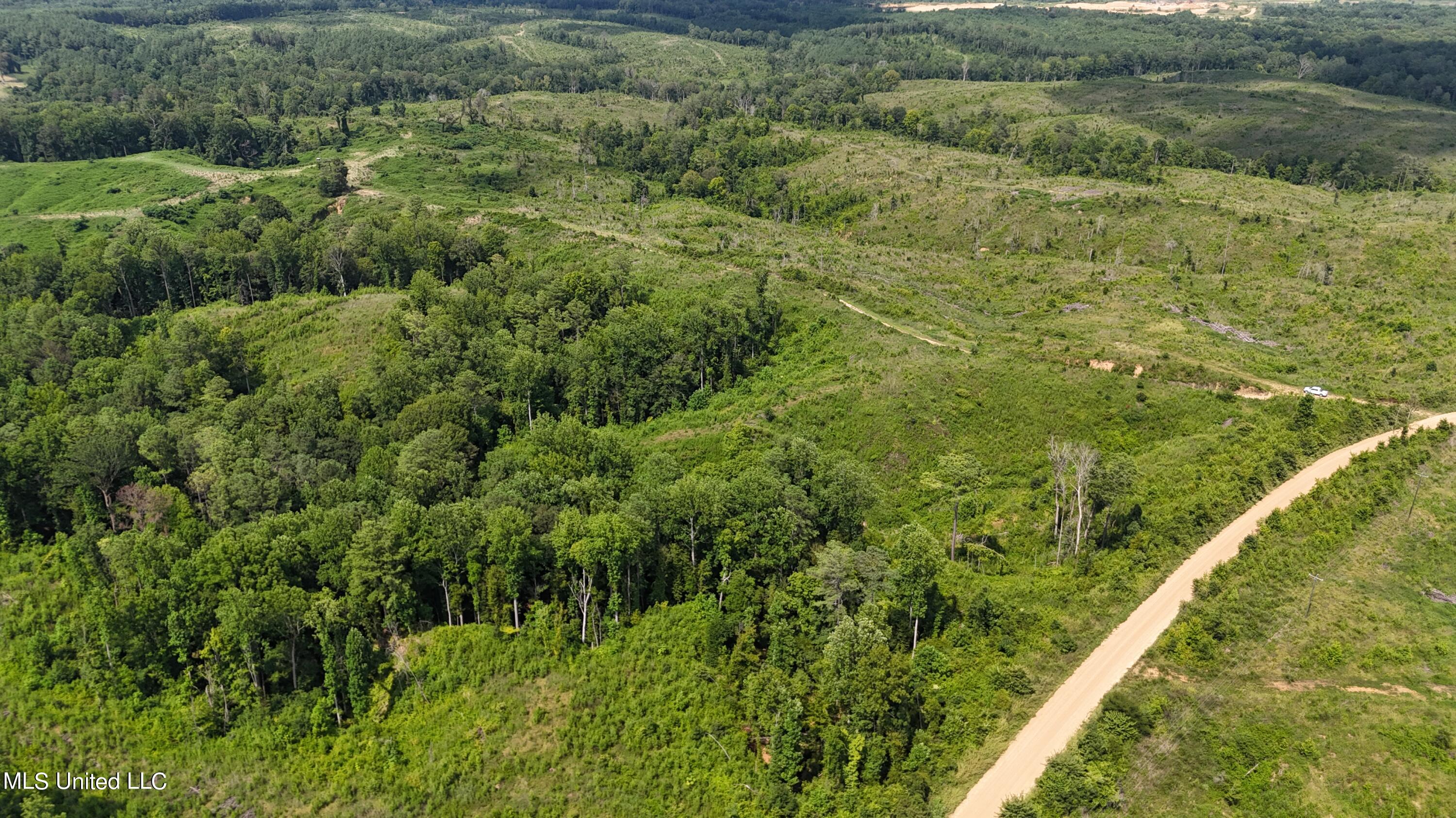 Co Rd 75, Greenwood, Mississippi image 5