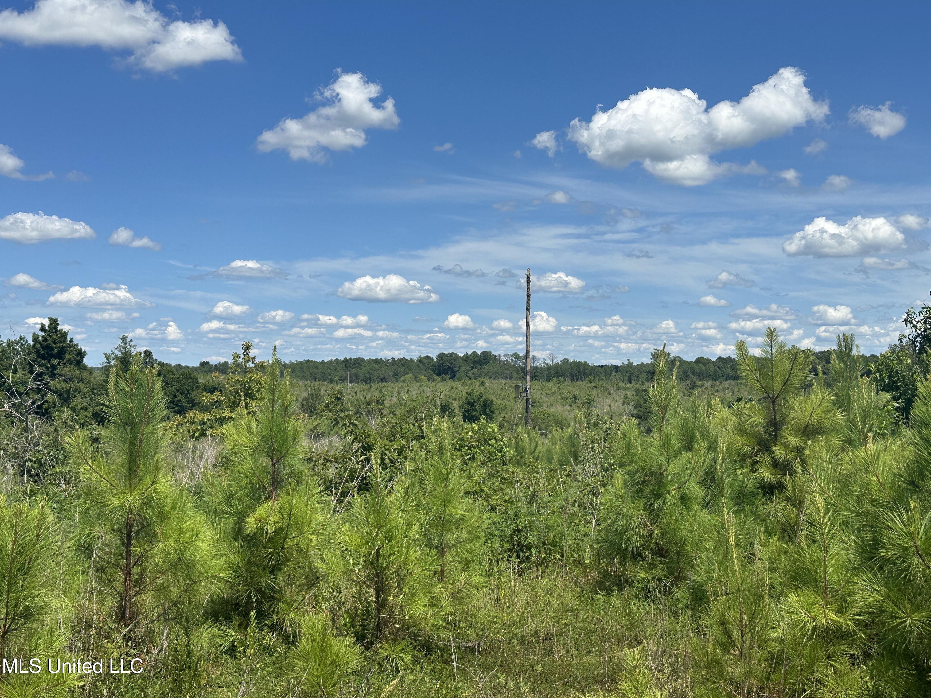 Co Rd 75, Greenwood, Mississippi image 3