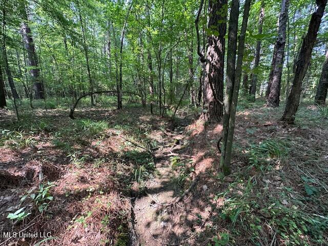 Star Road, Florence, Mississippi image 14