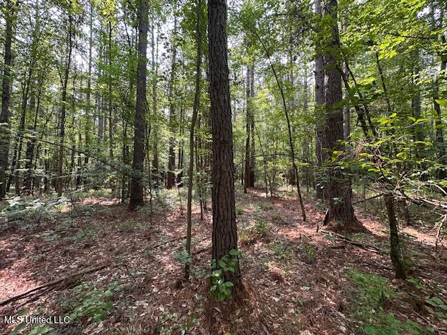 Star Road, Florence, Mississippi image 13