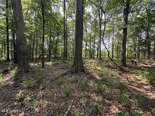 Star Road, Florence, Mississippi image 7