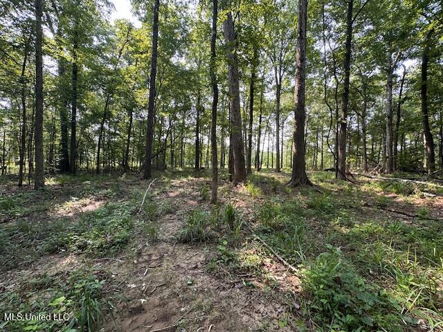 Star Road, Florence, Mississippi image 6