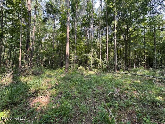 Star Road, Florence, Mississippi image 10
