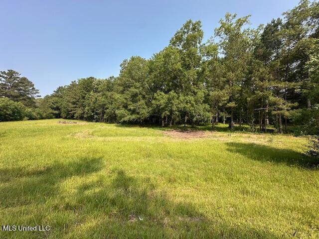 Star Road, Florence, Mississippi image 2