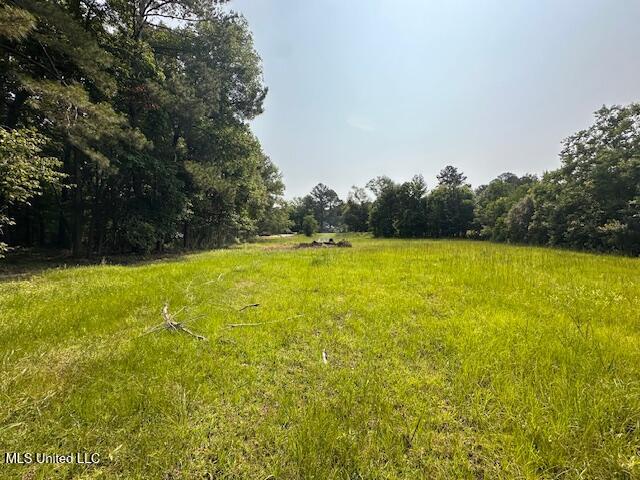 Star Road, Florence, Mississippi image 4