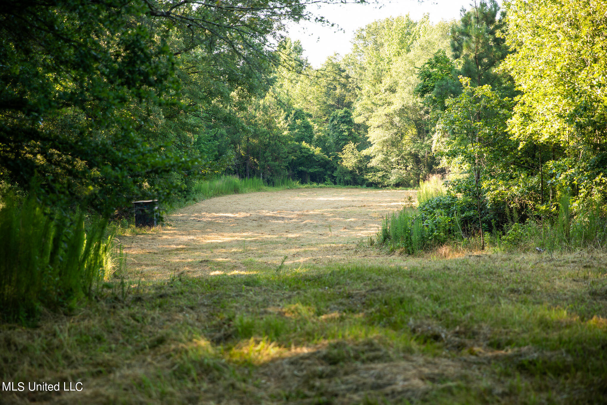 Bethesda Road, Crystal Springs, Mississippi image 1