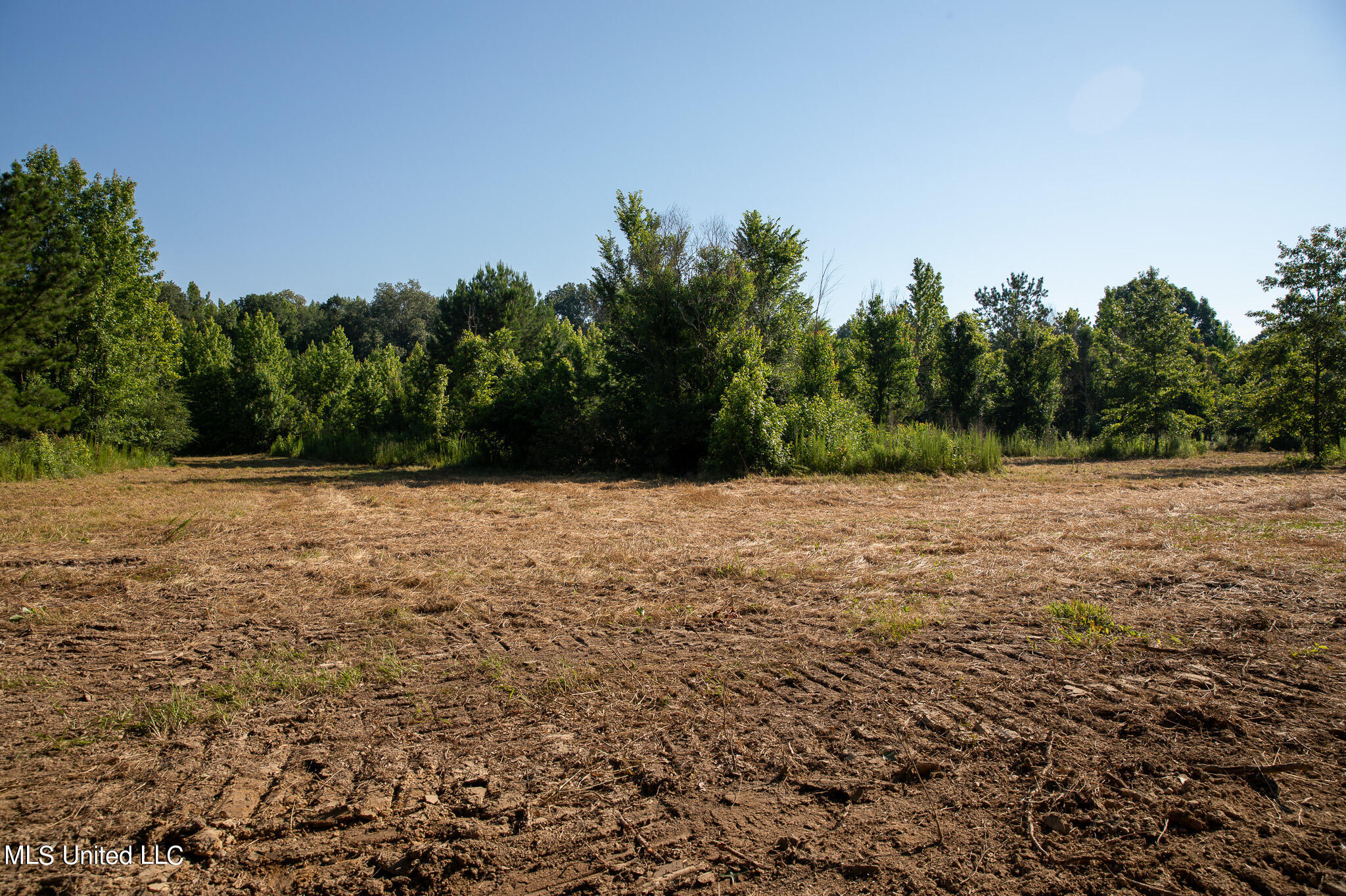 Bethesda Road, Crystal Springs, Mississippi image 19