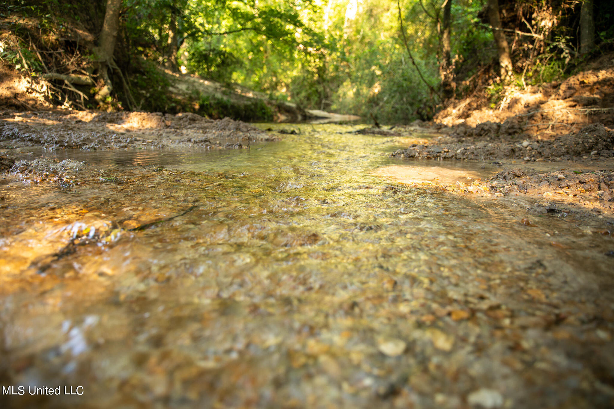 Bethesda Road, Crystal Springs, Mississippi image 17