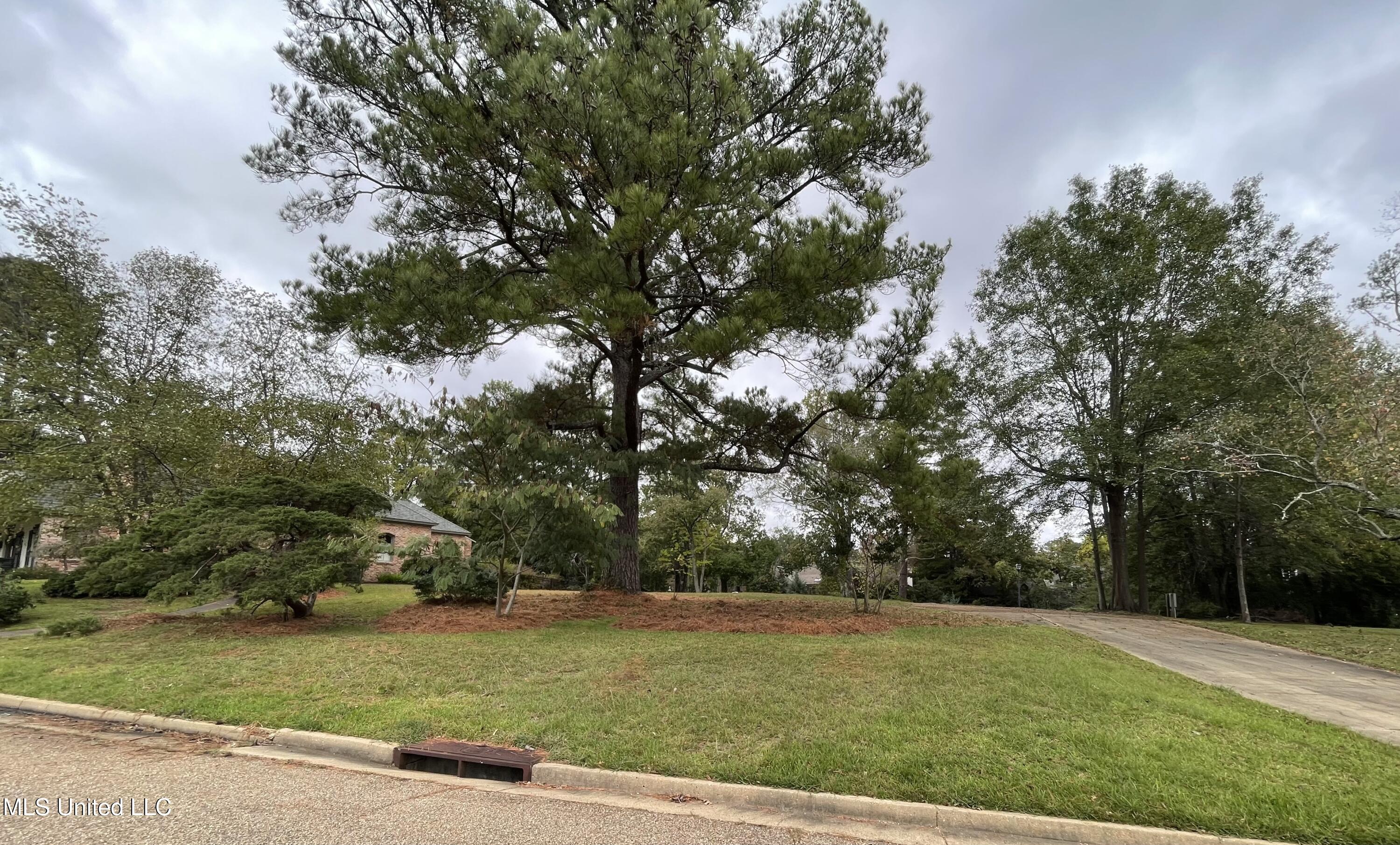 102 Green Drive, Jackson, Mississippi image 1