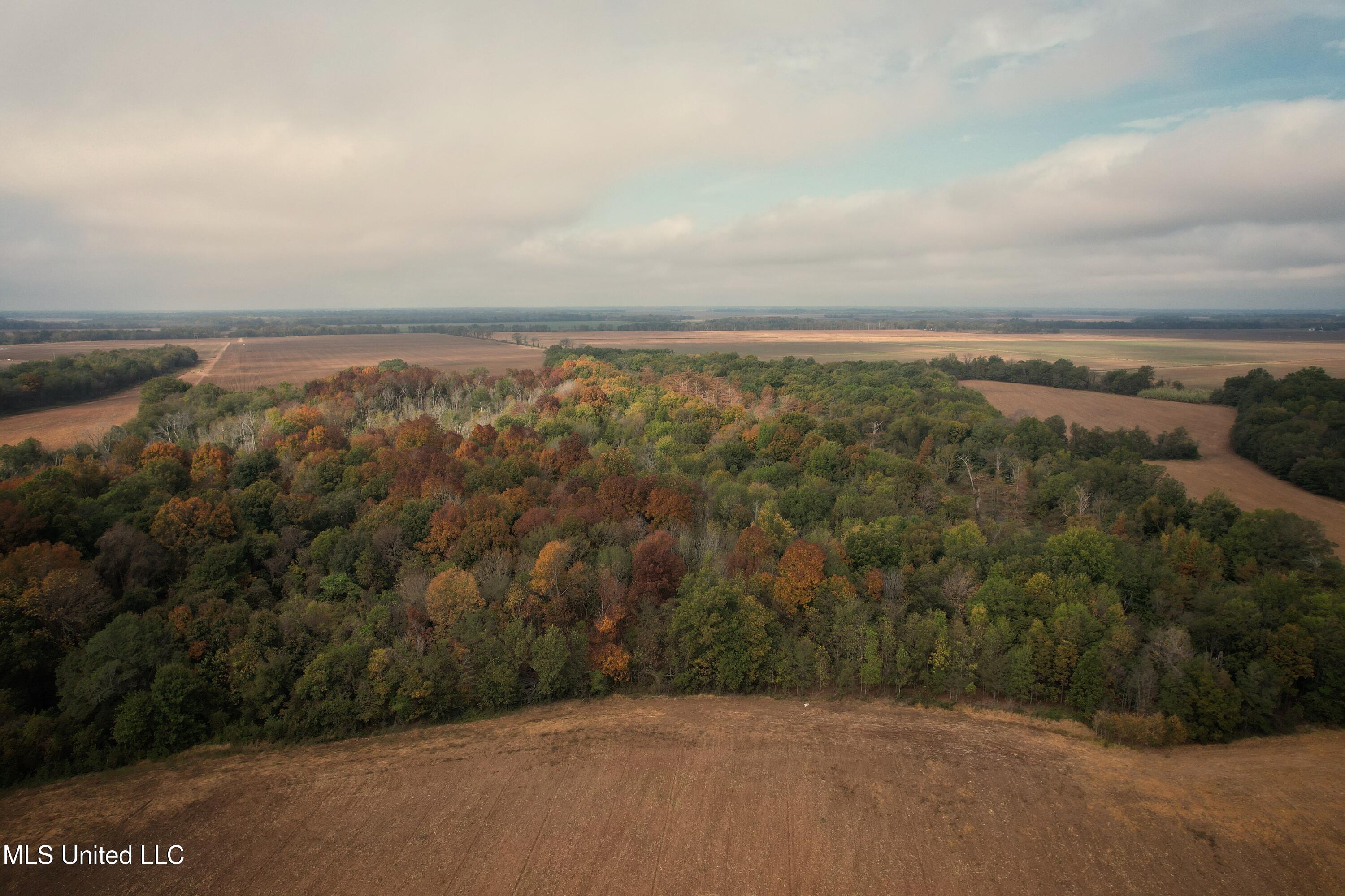 Drew Ruleville Road, Ruleville, Mississippi image 18