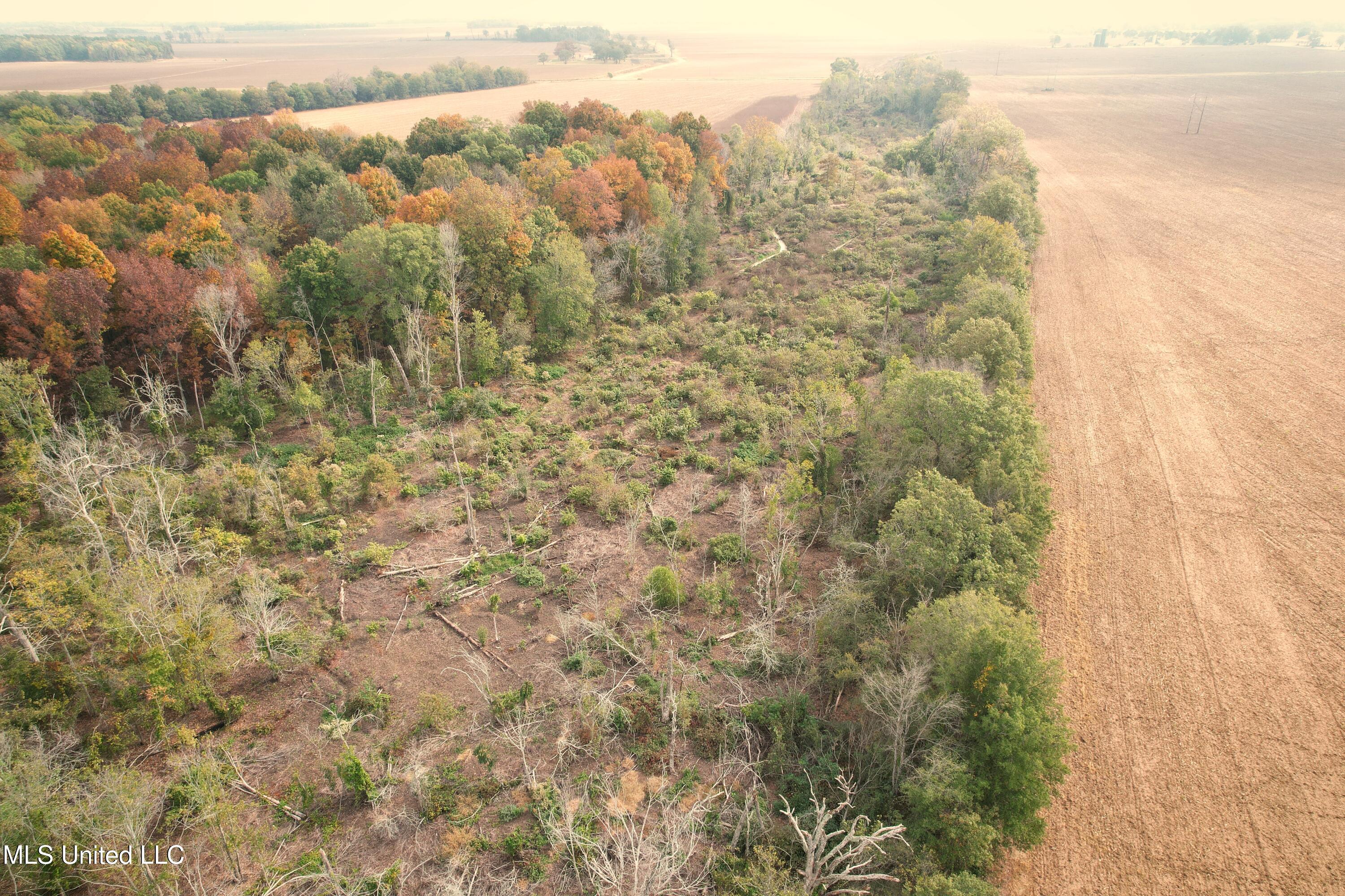 Drew Ruleville Road, Ruleville, Mississippi image 7