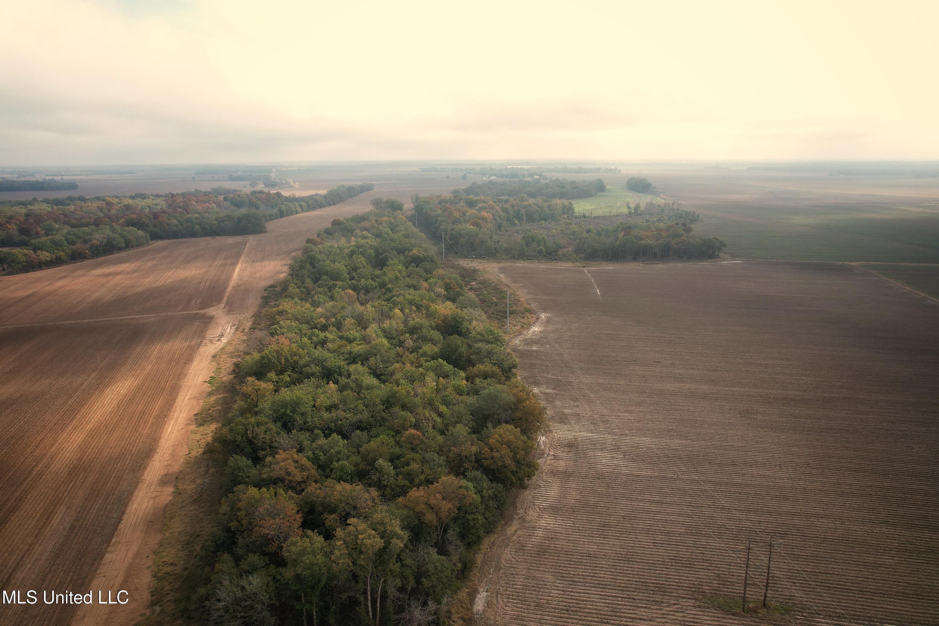 Drew Ruleville Road, Ruleville, Mississippi image 3