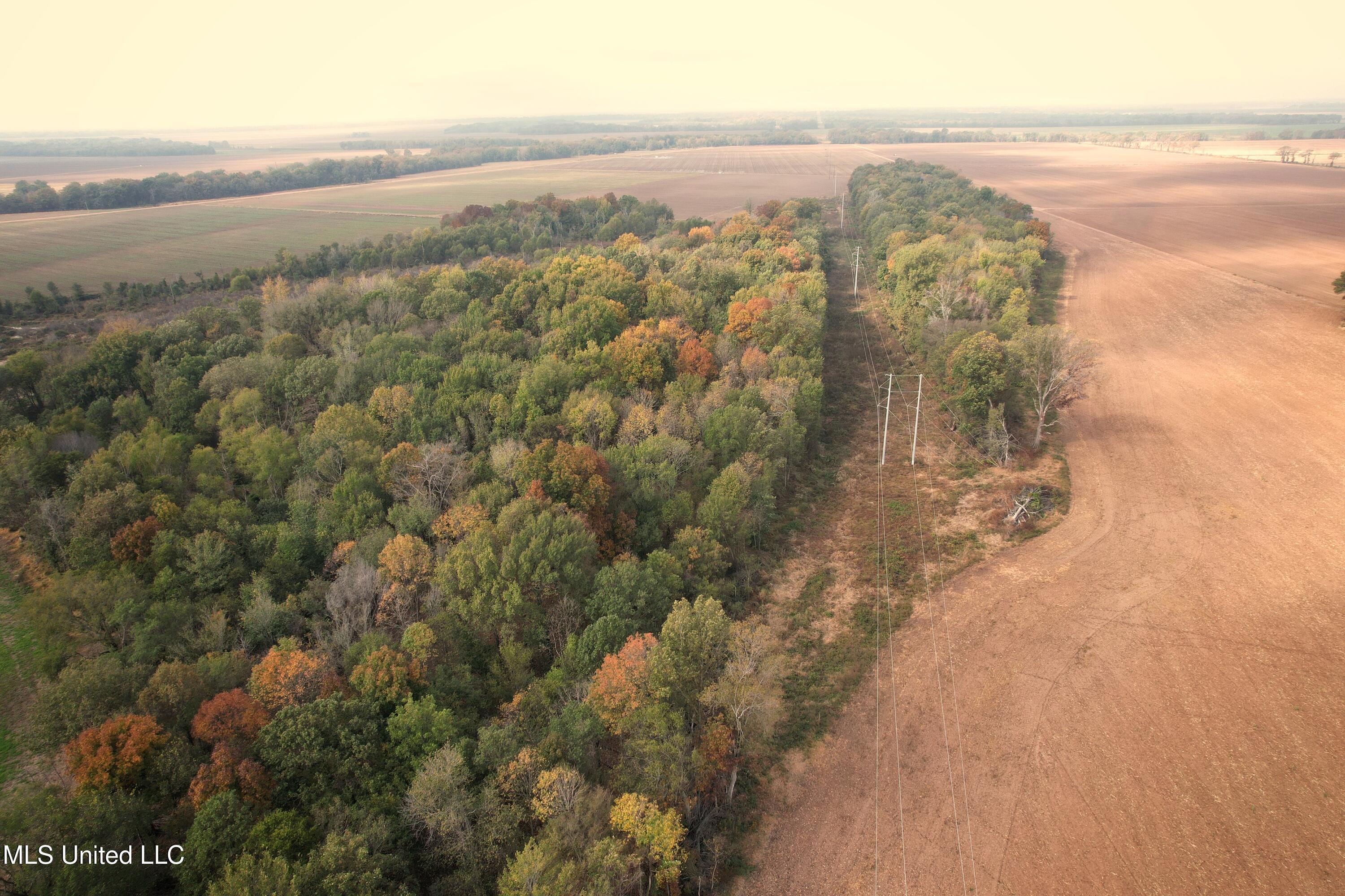 Drew Ruleville Road, Ruleville, Mississippi image 9