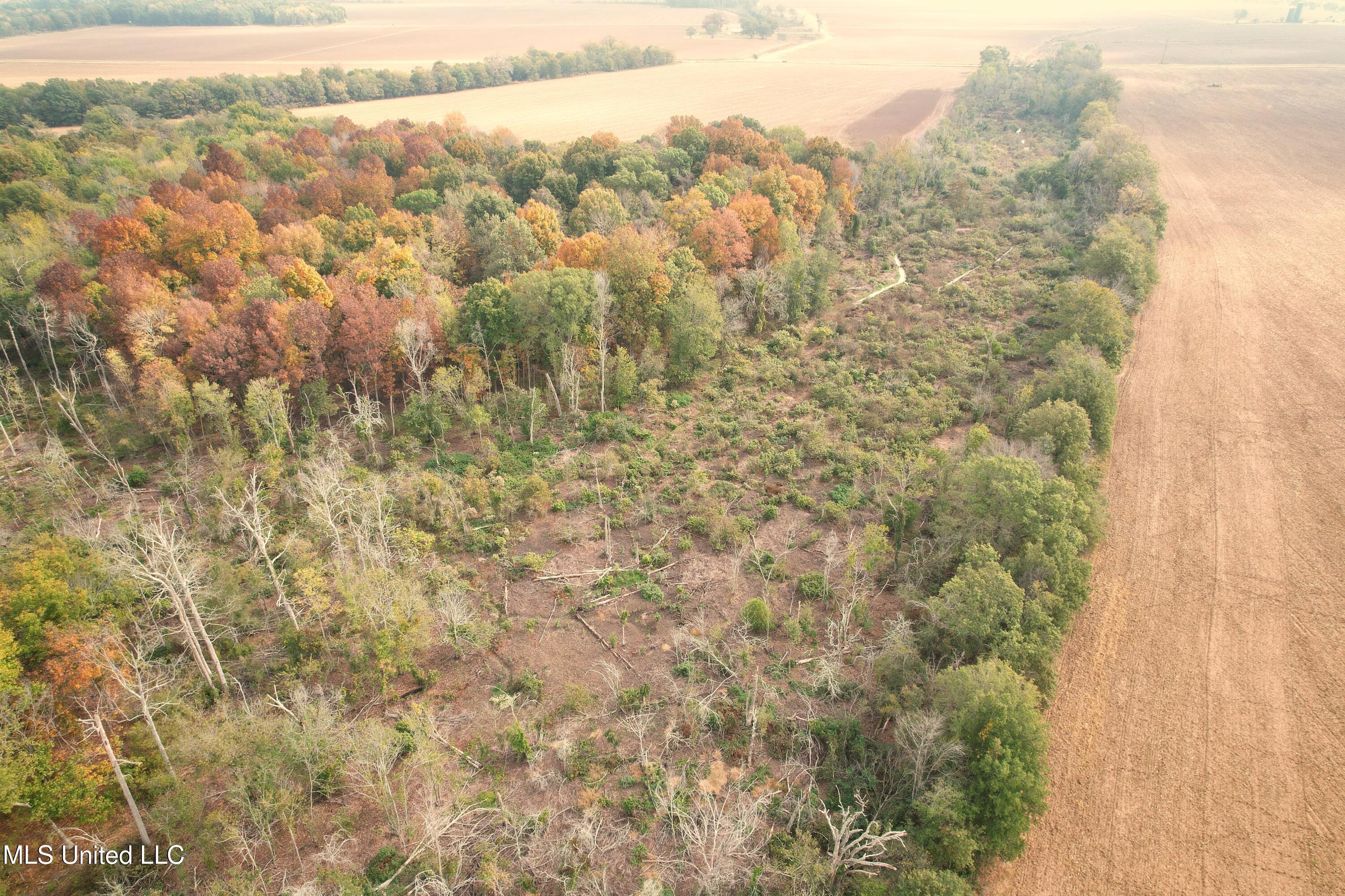 Drew Ruleville Road, Ruleville, Mississippi image 6