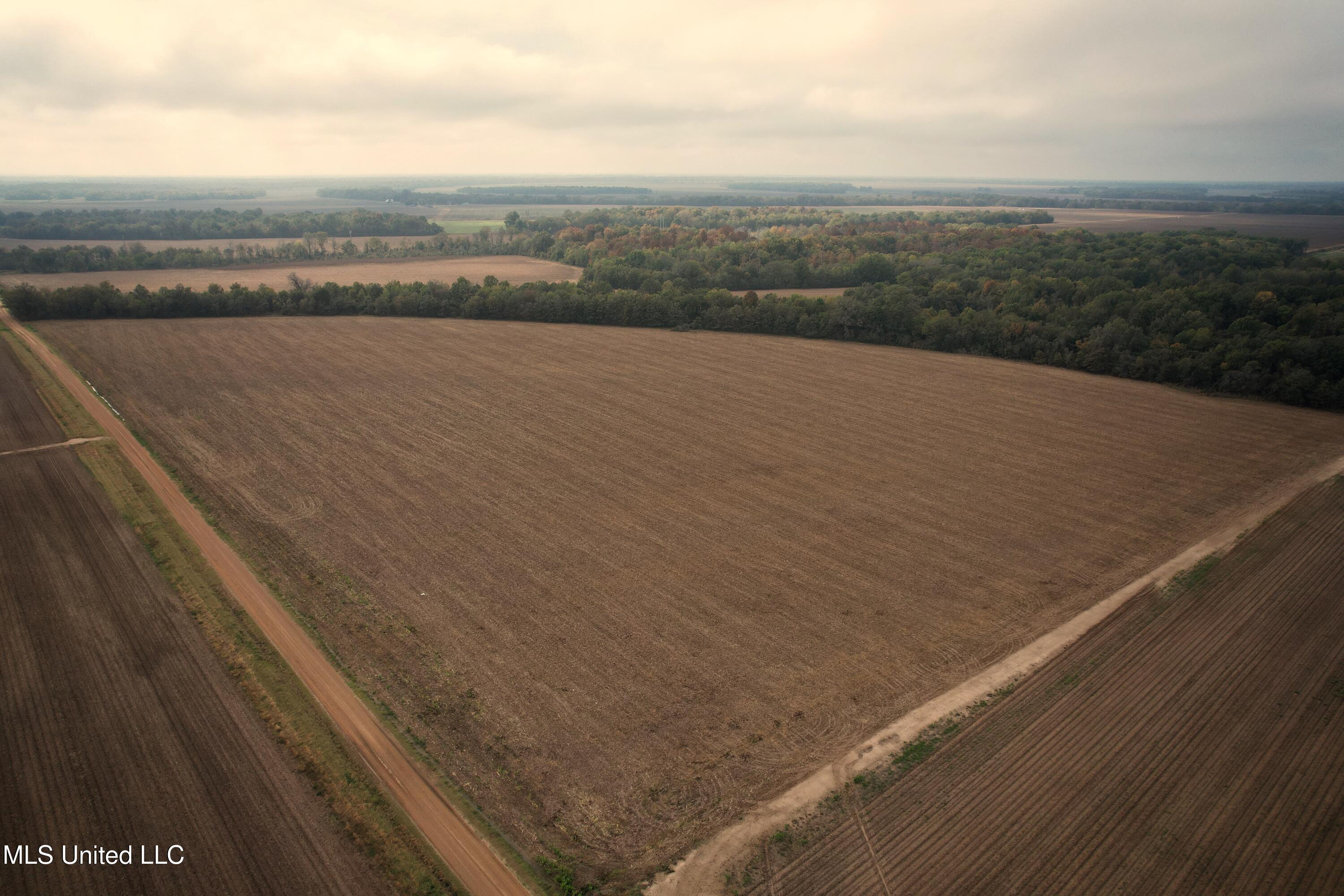 Drew Ruleville Road, Ruleville, Mississippi image 31