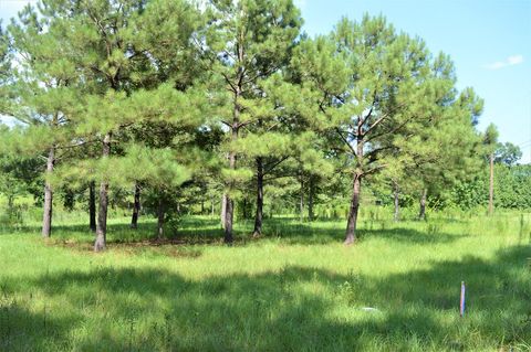 Vacant Land For Sale - ... Biltmore Drive<br/> Pike County, McComb, MS 39648