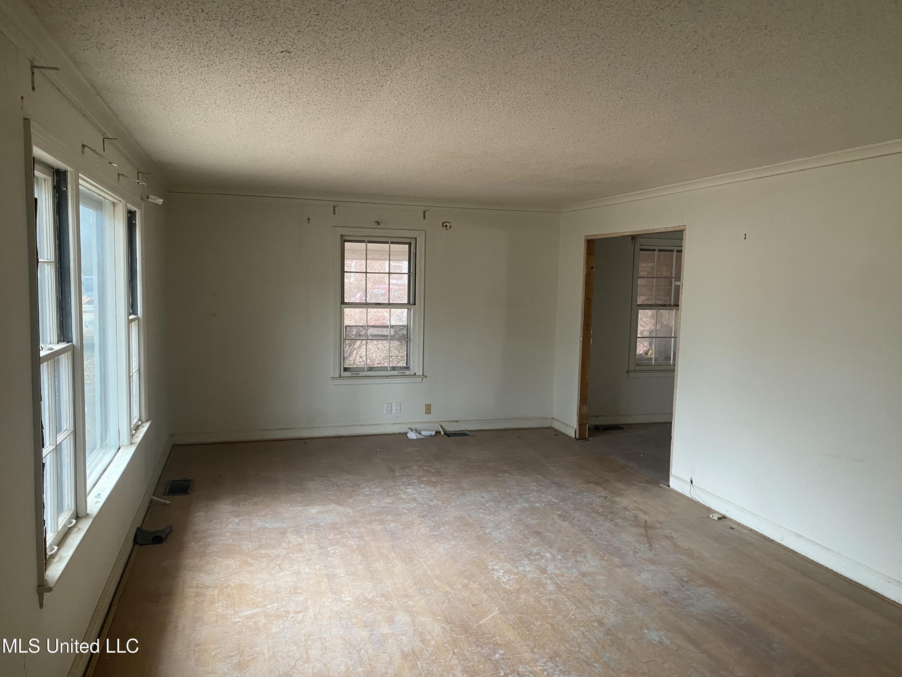 206 Bowden Street, Senatobia, Mississippi image 3