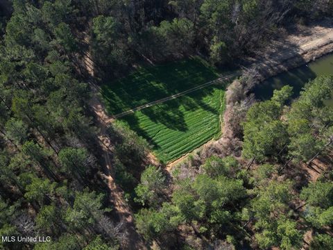 Vacant Land For Sale - 2015 Forest Road<br/> Hazlehurst, MS 39083