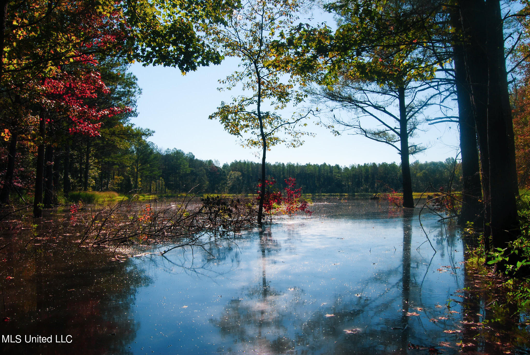 Hwy 17, Camden, Mississippi image 1