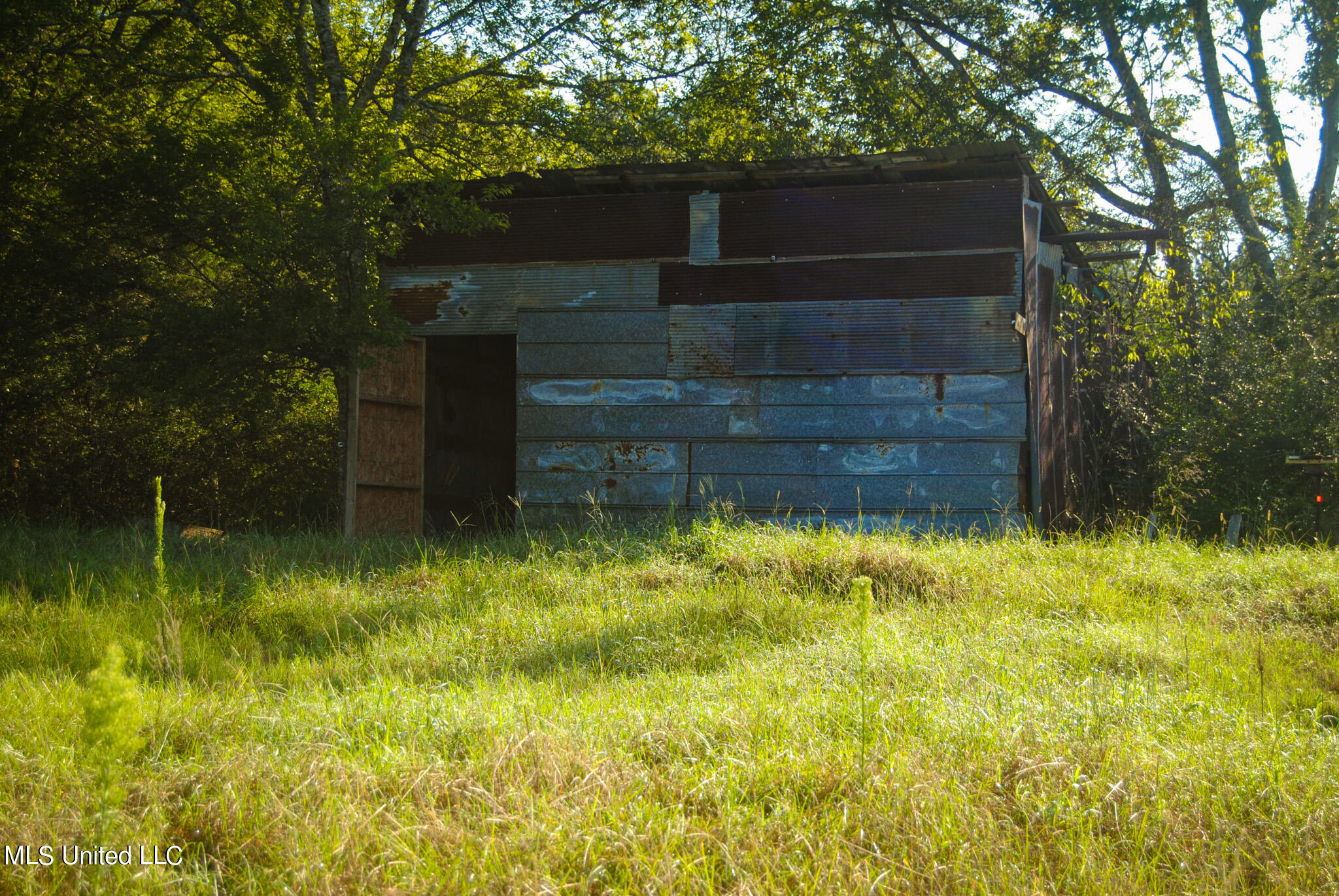 Hwy 17, Camden, Mississippi image 11