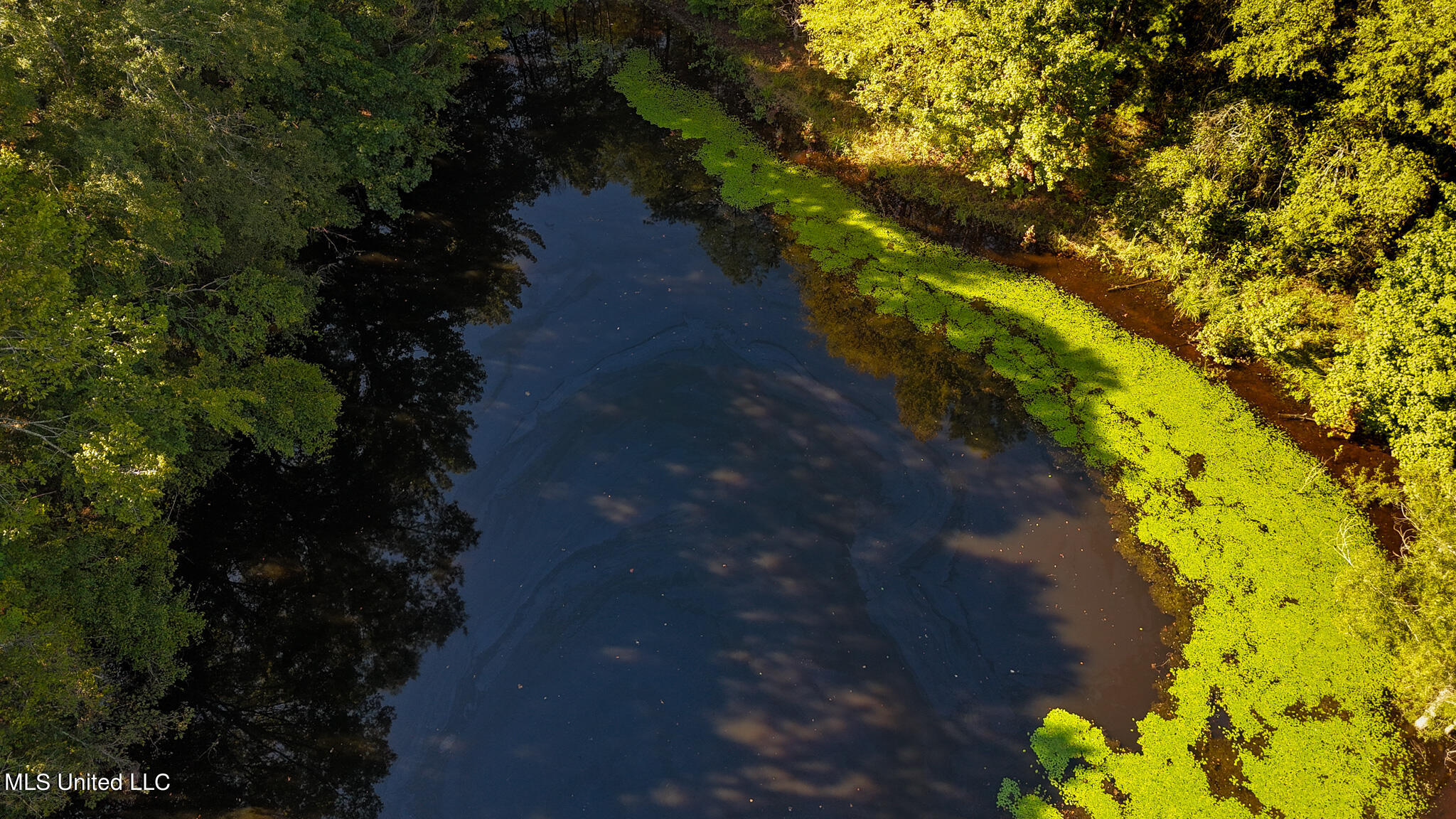 Hwy 17, Camden, Mississippi image 19