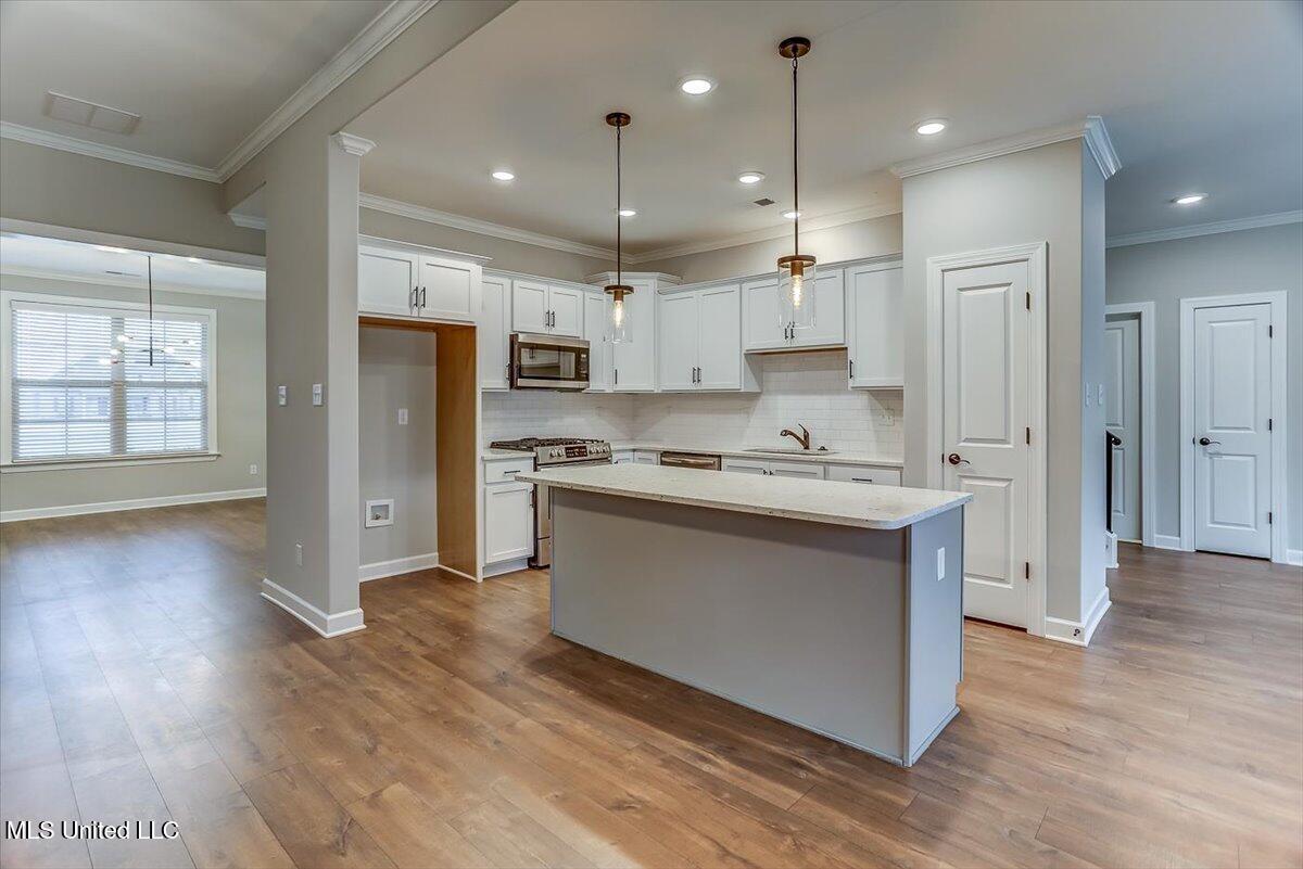 1706 Bristol Drive, Nesbit, Mississippi image 13