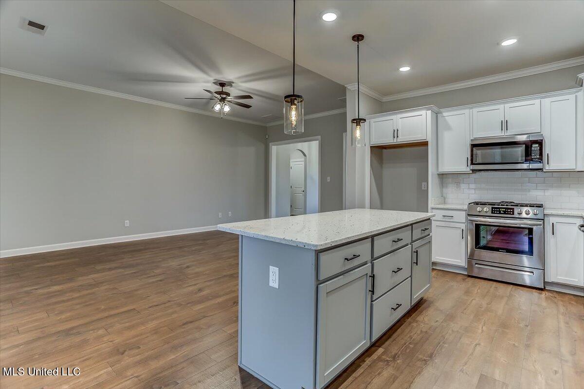1706 Bristol Drive, Nesbit, Mississippi image 15