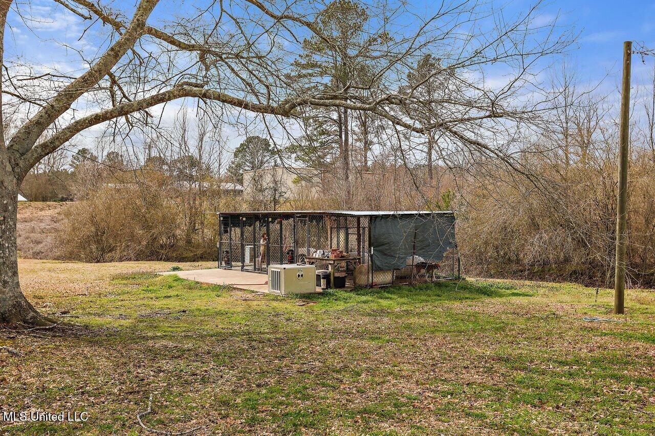 115 Malone Road, Carthage, Mississippi image 32