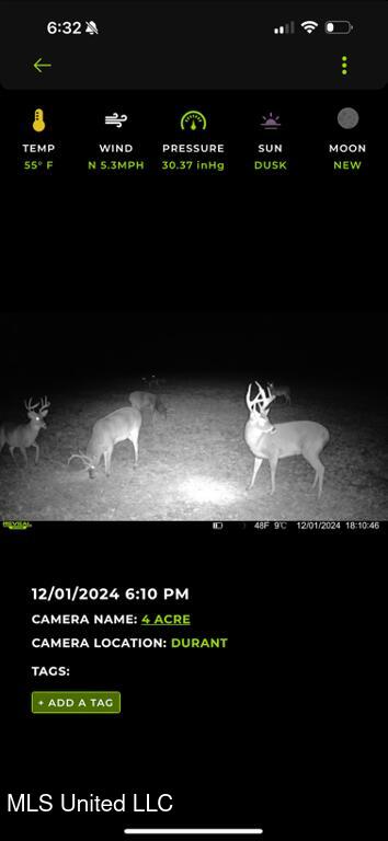 2759 Attala Road 4201, Sallis, Mississippi image 39