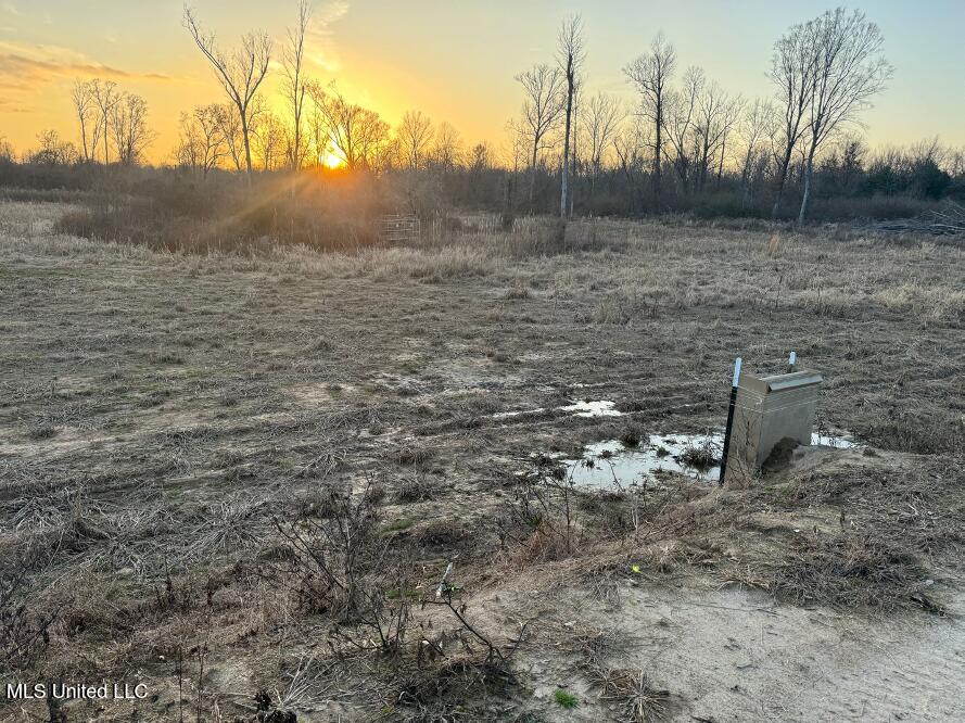 2759 Attala Road 4201, Sallis, Mississippi image 15