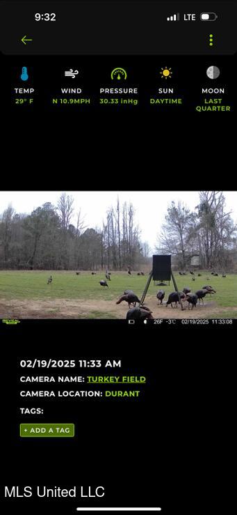 2759 Attala Road 4201, Sallis, Mississippi image 24