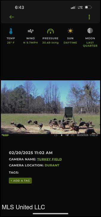 2759 Attala Road 4201, Sallis, Mississippi image 22