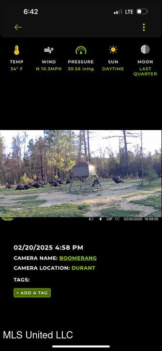2759 Attala Road 4201, Sallis, Mississippi image 23