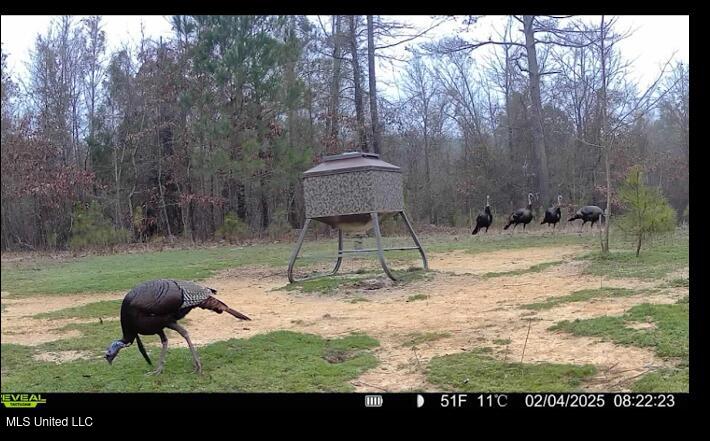 2759 Attala Road 4201, Sallis, Mississippi image 30
