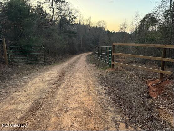 2759 Attala Road 4201, Sallis, Mississippi image 4