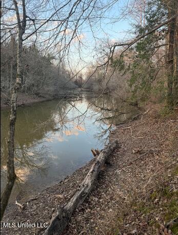 2759 Attala Road 4201, Sallis, Mississippi image 13