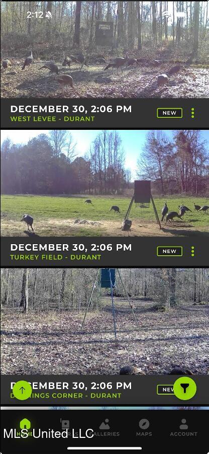 2759 Attala Road 4201, Sallis, Mississippi image 28