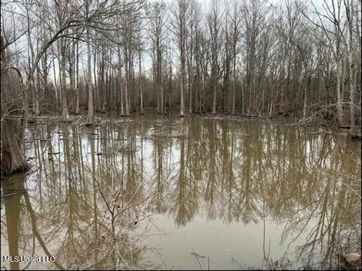2759 Attala Road 4201, Sallis, Mississippi image 14