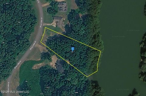 Vacant Land For Sale - 410 Blue Lake Drive<br/> Lake Cormorant, MS 38641