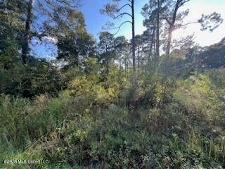 Vacant Land For Sale - Persimmon Street<br/> Ocean Springs, MS 39564